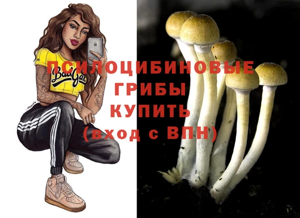 прущие крисы Балабаново